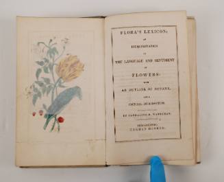 Flora’s Lexicon: An Interpretation of the Language and Sentiment of Flowers