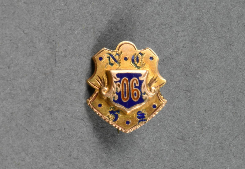 Pin, Insignia