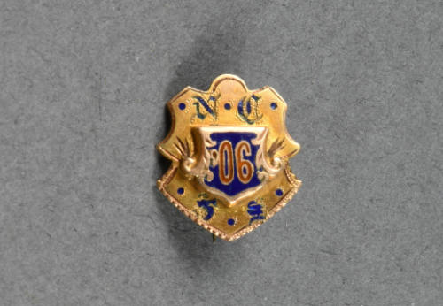 Pin, Insignia