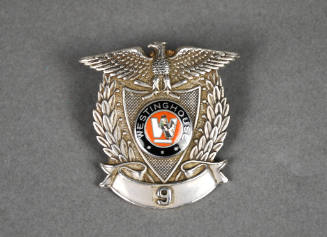 Badge, Identification