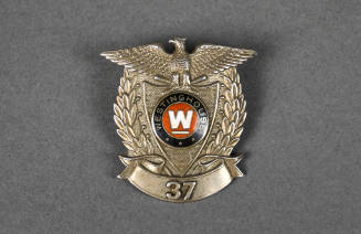 Badge, Identification