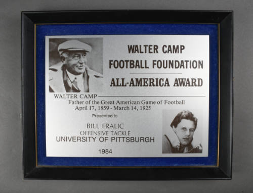 Plaque, Award