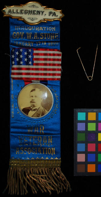 Ribbon, Political