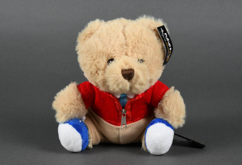 Bear, Teddy
