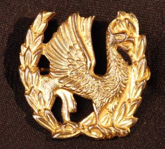 Pin, Military