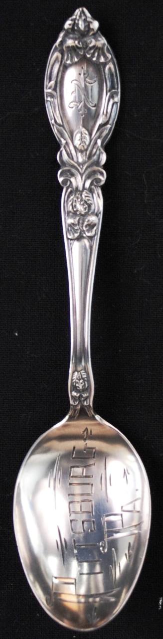 Spoon, Souvenir