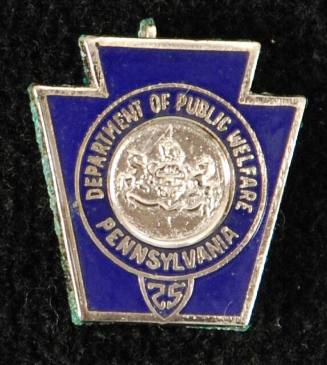 Pin, Insignia