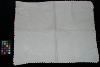 Napkin