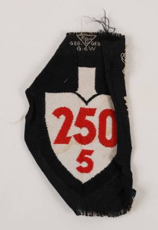 Patch, Insignia