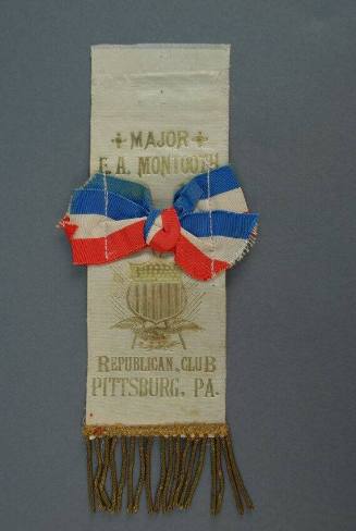 Ribbon, Political