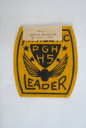 Patch, Insignia