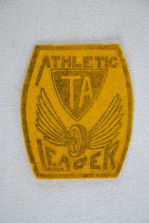 Patch, Insignia