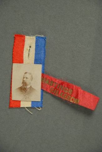 Ribbon, Political