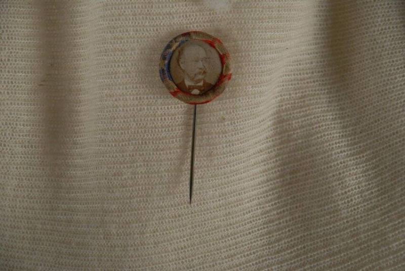 Pin, Political