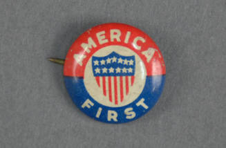 Pin, Political