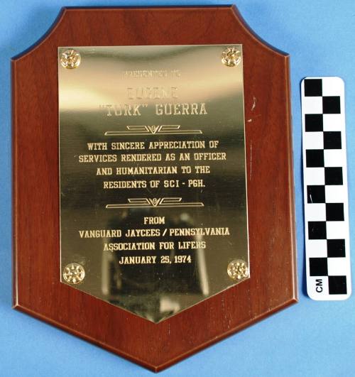 Plaque, Award