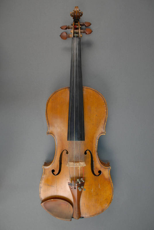 Violin