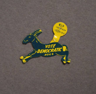 Pin, Political