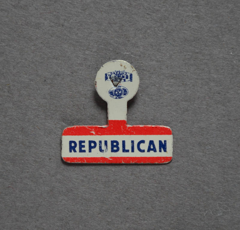 Pin, Political