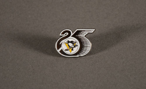 Pin, Insignia