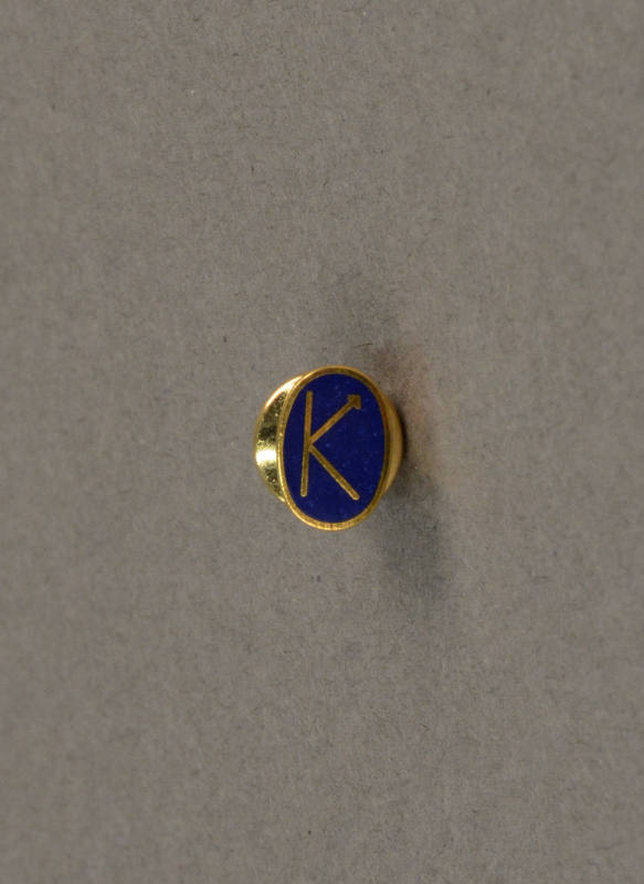 Pin, Occupational