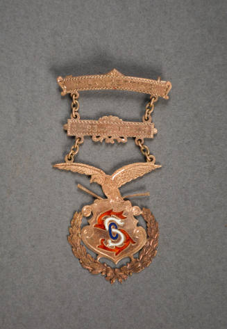 Medal, Commemorative