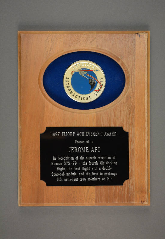 Plaque, Award