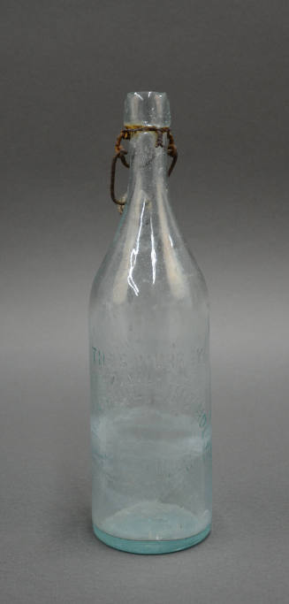 Bottle