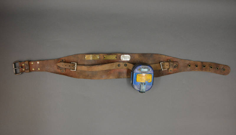 Belt