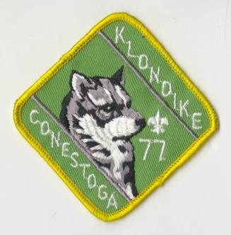 Patch, Insignia