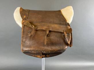 Saddlebag