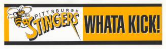 Pittsburgh Stingers