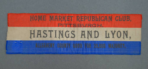 Ribbon, Political