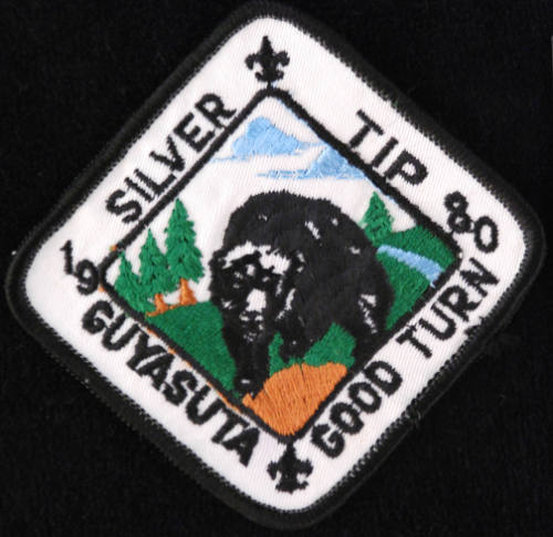 Patch, Insignia